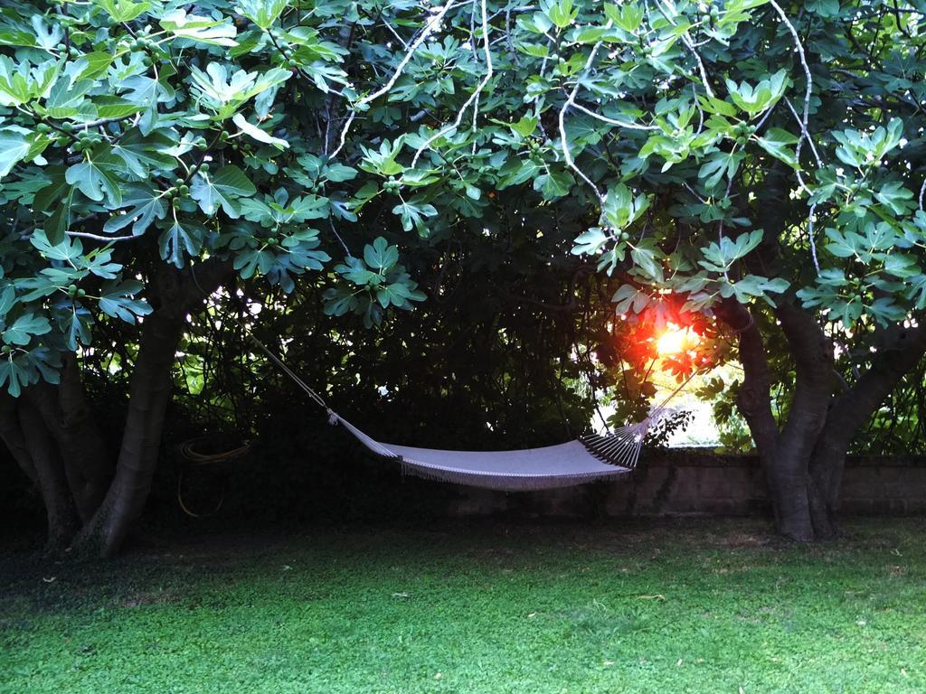 Agriturismo Locanda Pantanello Πιτιλιάνο Εξωτερικό φωτογραφία
