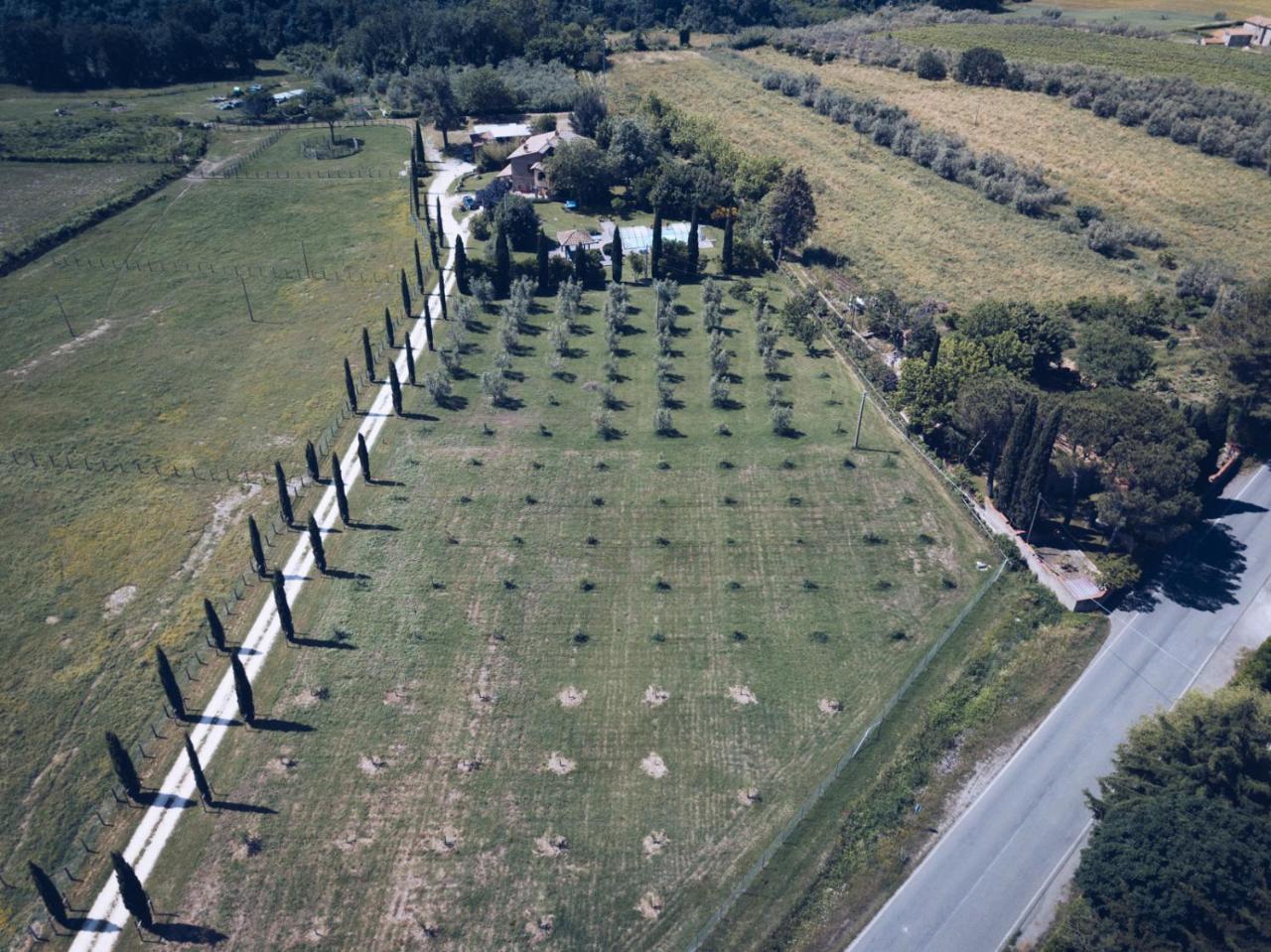 Agriturismo Locanda Pantanello Πιτιλιάνο Εξωτερικό φωτογραφία