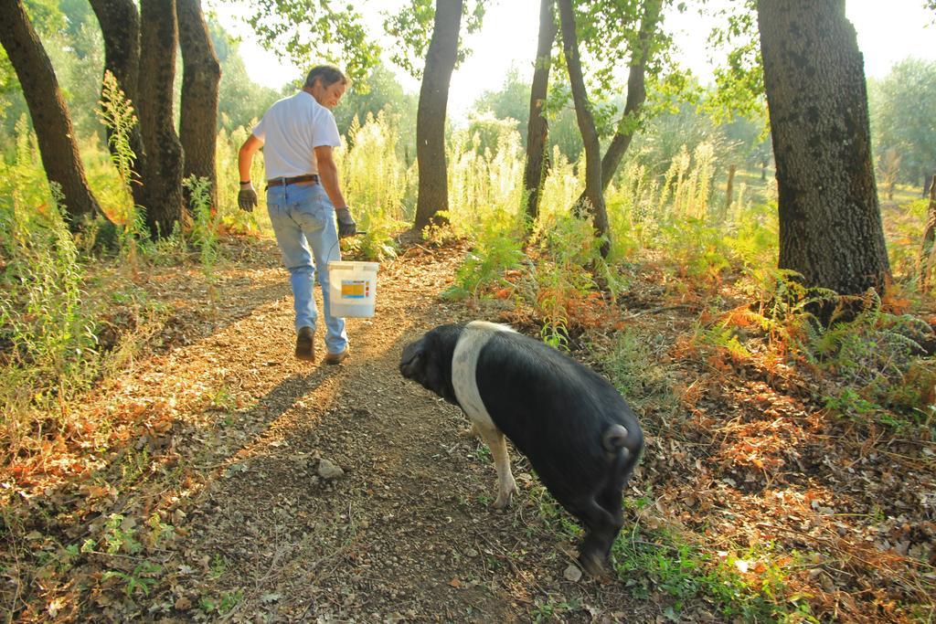 Agriturismo Locanda Pantanello Πιτιλιάνο Εξωτερικό φωτογραφία