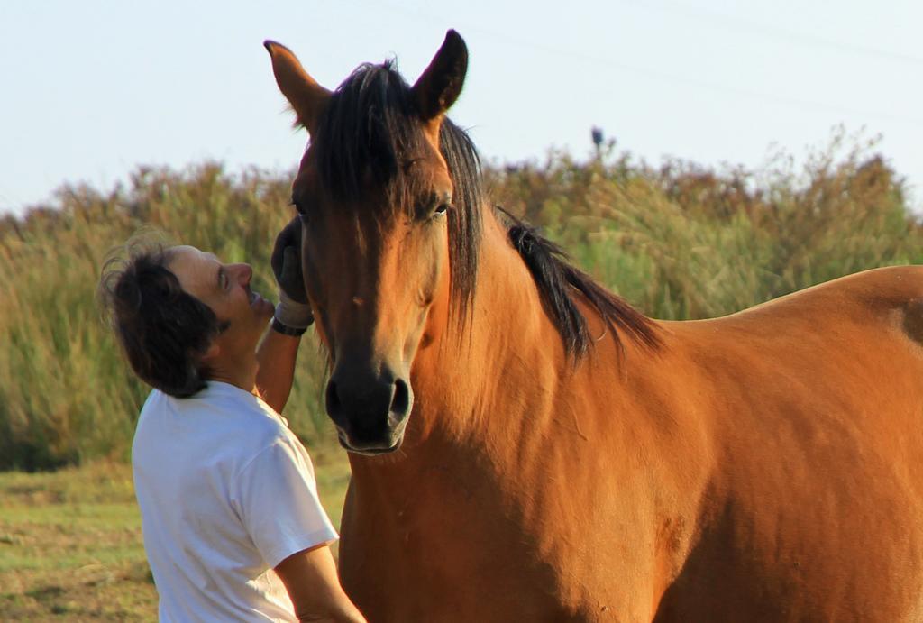 Agriturismo Locanda Pantanello Πιτιλιάνο Εξωτερικό φωτογραφία
